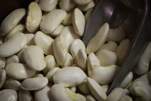 Royal Corona, a large white bean - Rancho Gordo, Heirloom beans